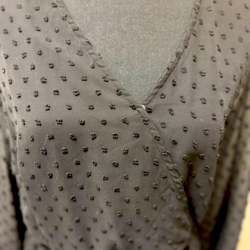 NWT Black Swiss Dot Chiffon Dress. - Picture 2 of 5